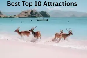 Best Top 10 Attractions in the World You Must Visit