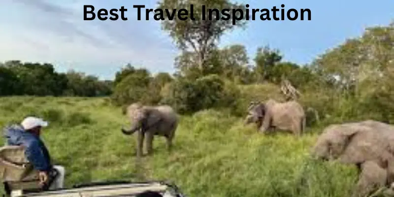 Best Travel Inspiration for you