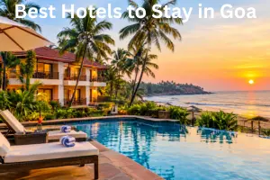 Best Hotels to Stay in Goa: 15 Top Picks for Every Traveler